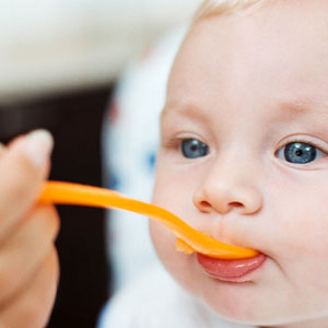 28.有毒物質和嬰兒餵食