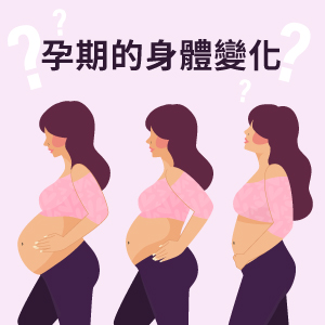 孕期1~40週最詳細的分析,懷孕身體變化大揭密!! - mamaway