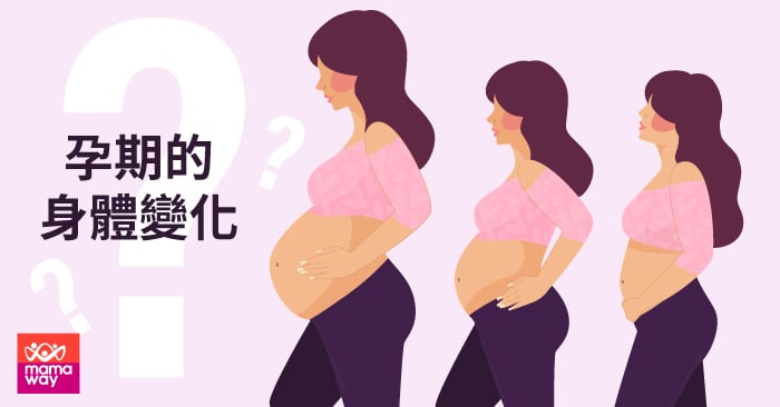 孕期的身體變化 媽媽餵