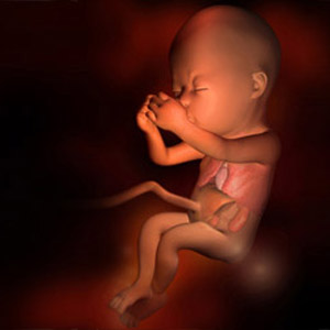 懷孕第17週 Mamaway