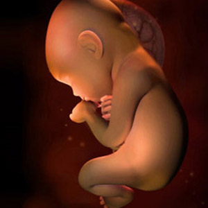 懷孕第31週 Mamaway媽媽餵懷孕哺乳育兒百科