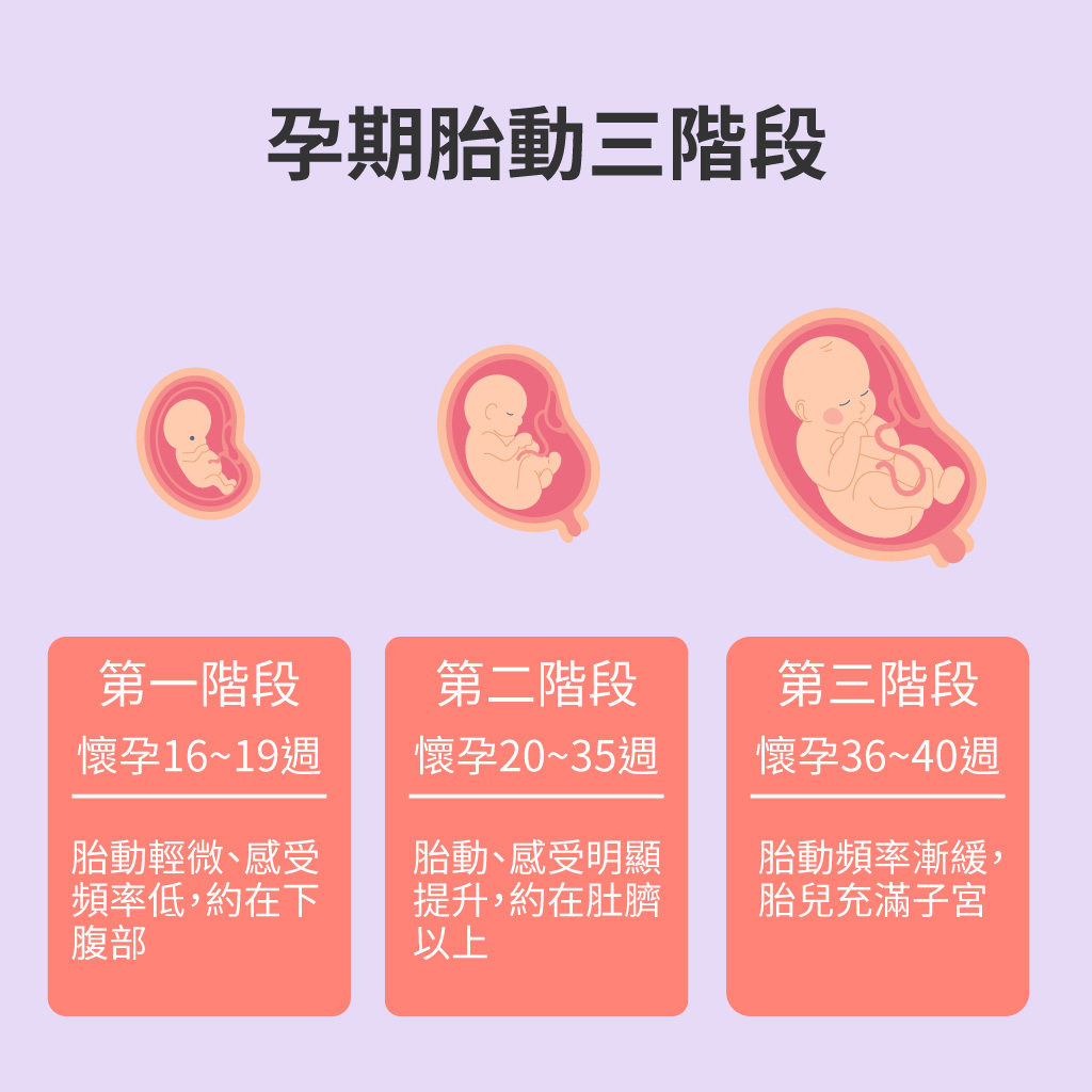 胎動好重要 不可忽視 3個胎動階段及胎動監測一次會 Mamaway