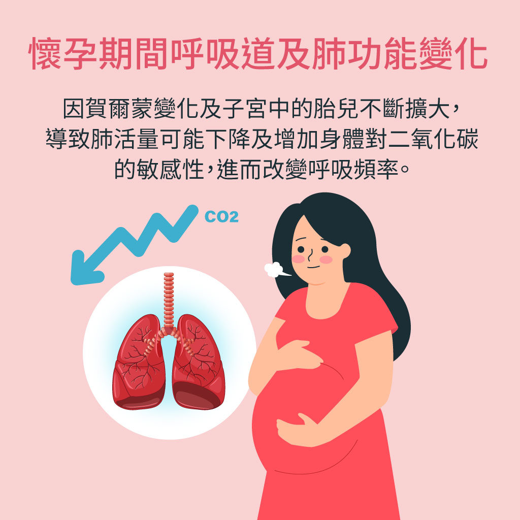 懷孕期間呼吸道與肺功能的變化