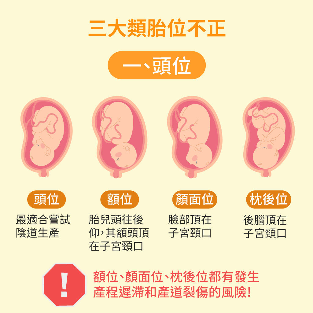 明明白白做超声(七)：中晚期妊娠胎儿头部检查 - 知乎