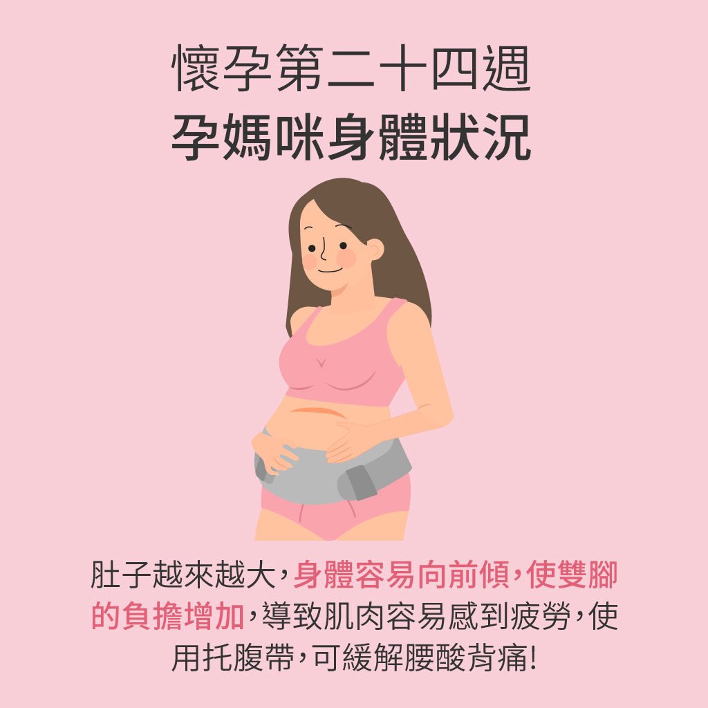孕媽咪與寶寶全孕期週記 懷孕第24週 Mamaway 孕媽咪與寶寶全孕期週記 懷孕第24週 Mamaway