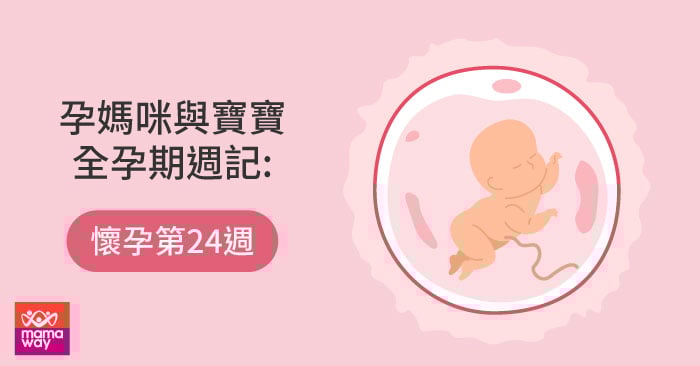 孕媽咪與寶寶全孕期週記 懷孕第24週 Mamaway 孕媽咪與寶寶全孕期週記 懷孕第24週 Mamaway