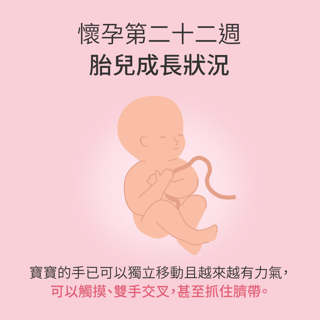 懷孕第22週胎兒成長狀況