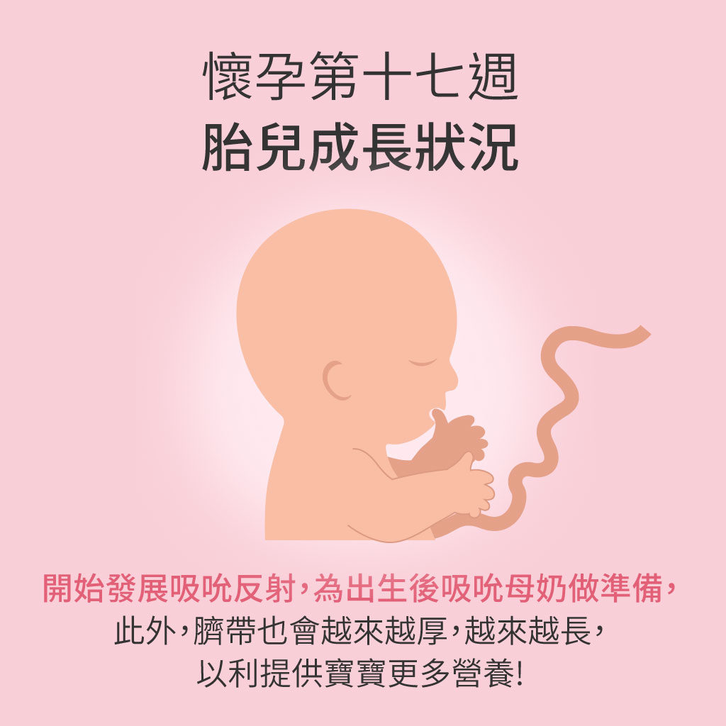 孕媽咪與寶寶全孕期週記 懷孕第17週 Mamaway