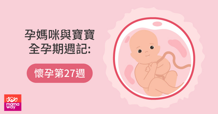 孕媽咪與寶寶全孕期週記 懷孕第27週 Mamaway