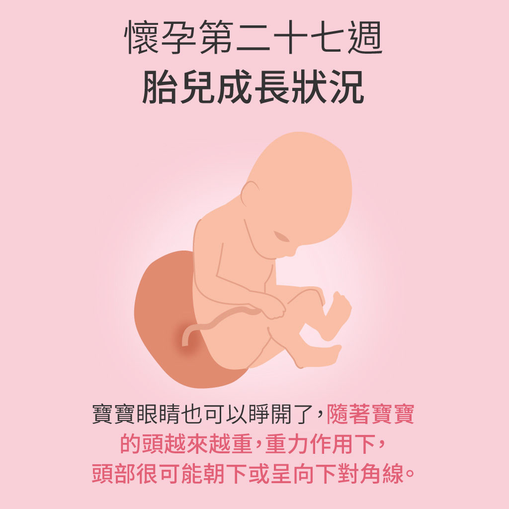 懷孕第27週胎兒成長狀況