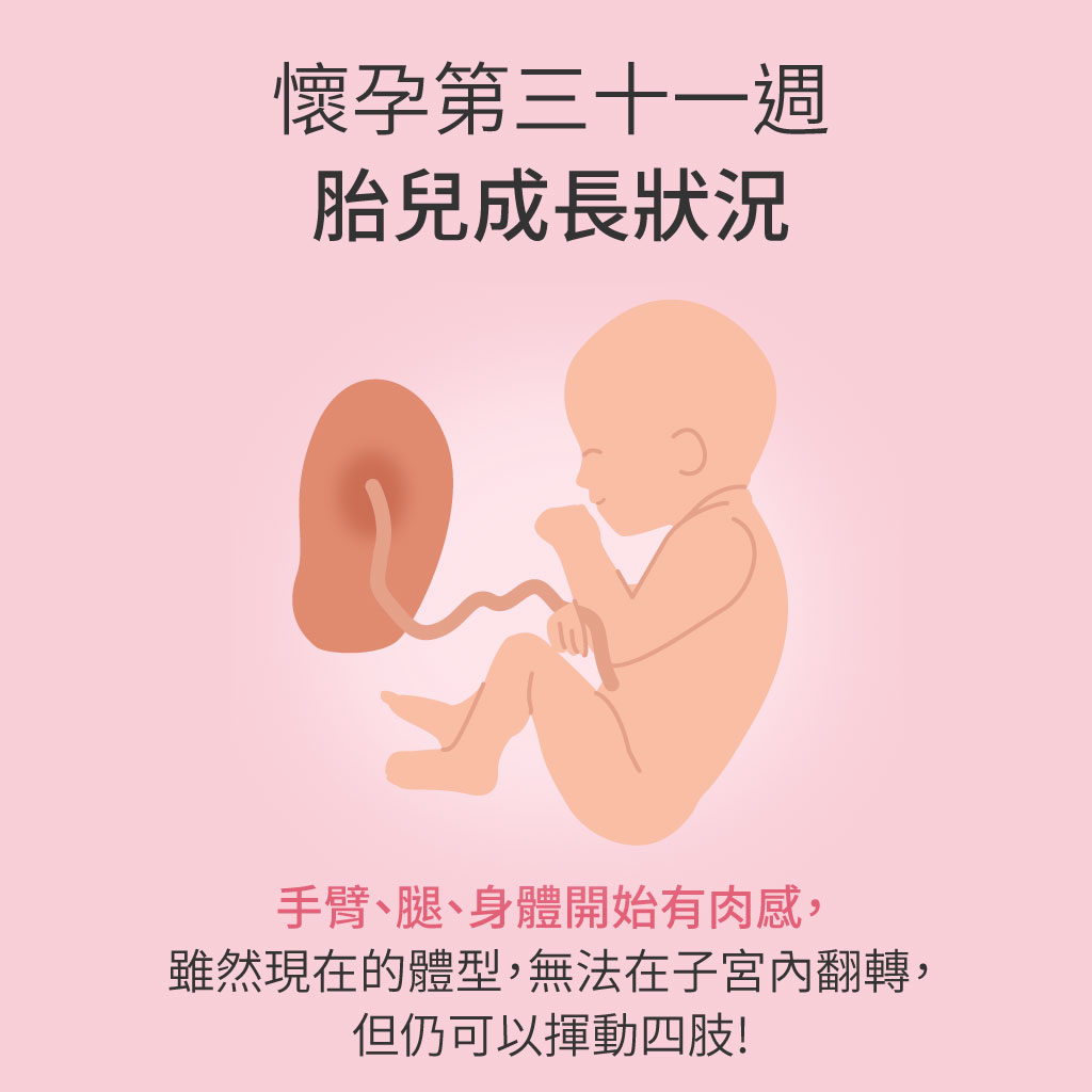 懷孕第31週胎兒成長狀況