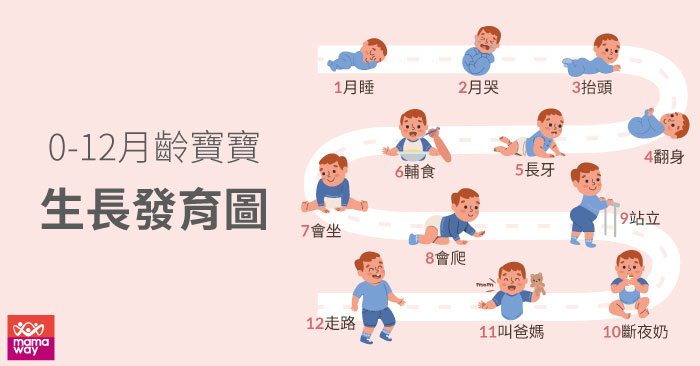 0-12月齡寶寶生長發育圖