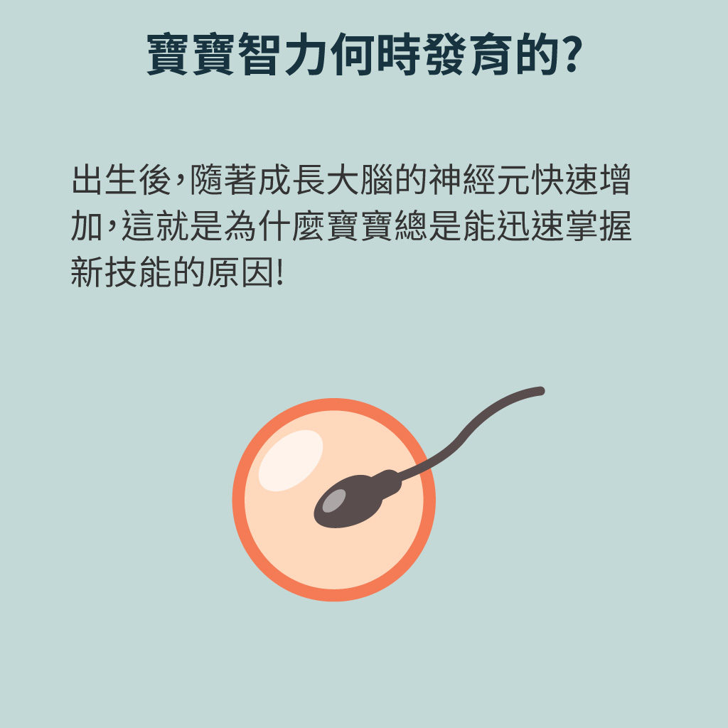 寶寶智力發育大公開，符合四點，寶寶是高智商潛力股! - mamaway