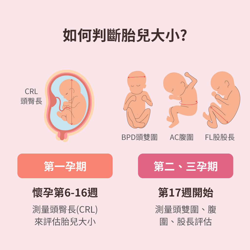 胎兒大小如何判斷?