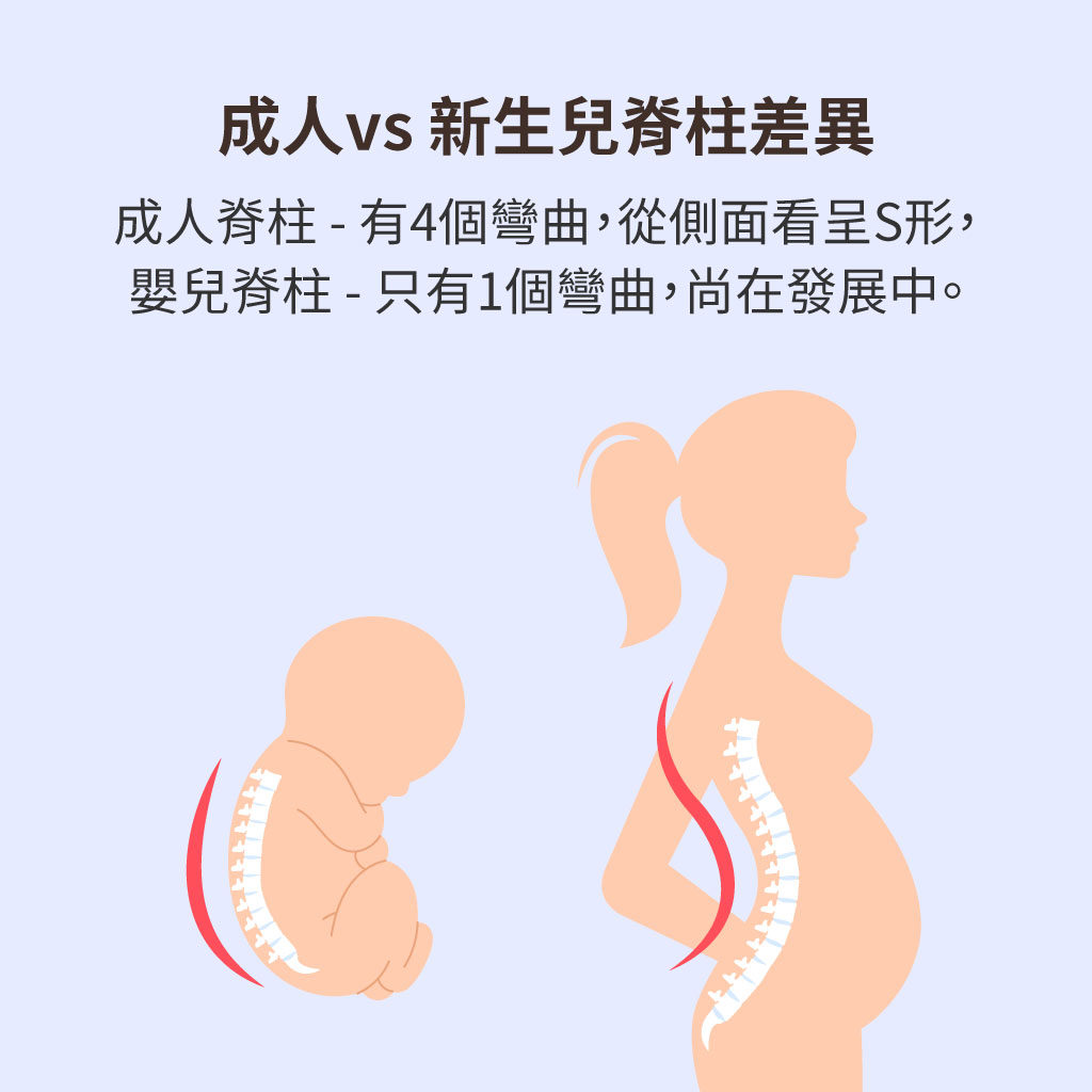 成人與新生兒差別