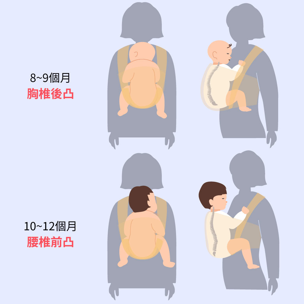 8個月到12個月在背帶裡的樣子