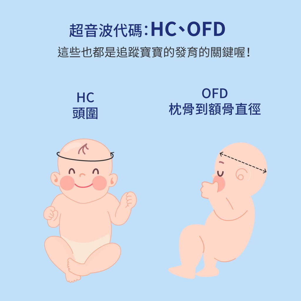 孕媽不再霧煞煞!讓您快速看懂產檢超音波照的英文代碼- mamaway