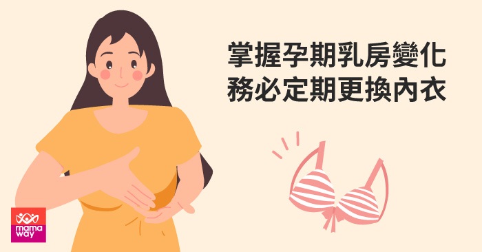 孕期乳房變化與孕婦內衣挑選
