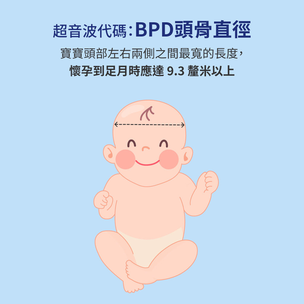 產檢超音波BPD