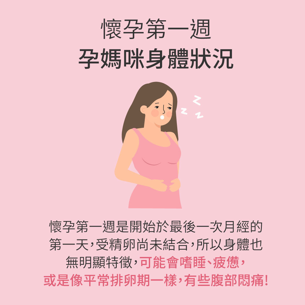 孕媽咪與寶寶全孕期週記:懷孕第1週 - mamaway