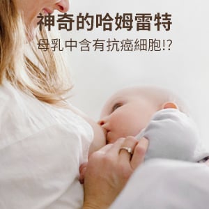 神奇的哈姆雷特，母乳中含有抗癌細胞