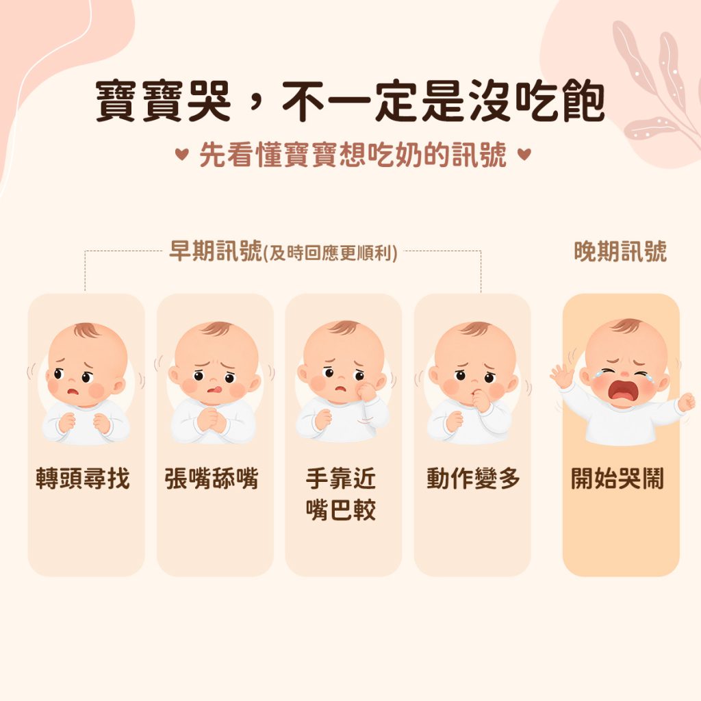 新生兒飢餓訊號示意,包括轉頭尋找、張嘴舔嘴與手靠近嘴巴