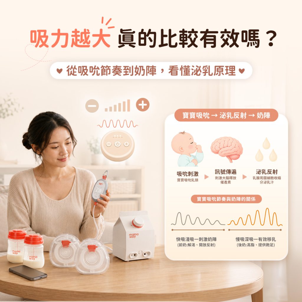 Mamaway圖解寶寶吸吮刺激、泌乳反射與奶陣之間的關係,說明吸力大小並非影響排乳效果的唯一因素。