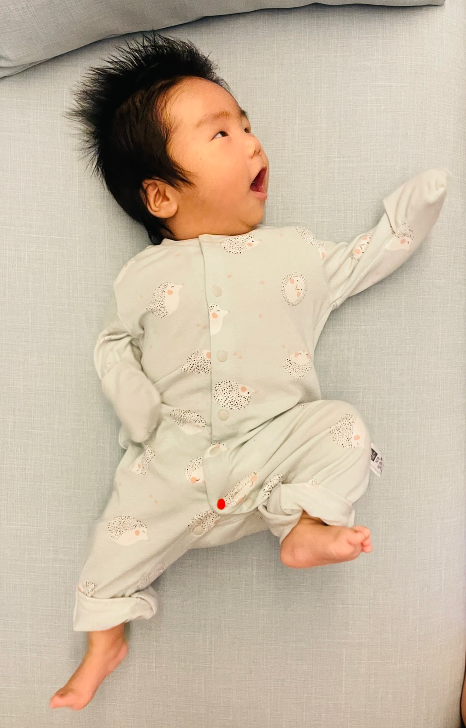 小刺蝟兔裝好可愛 小刺蝟兔裝好可愛