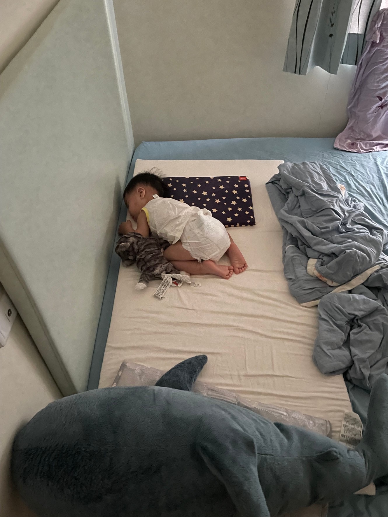 趴著也好睡 趴著也好睡