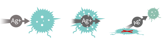 懷孕內衣 哺乳內衣 Meryl紗抑臭抗菌無縫機能孕哺內衣