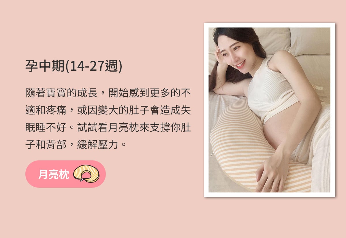 孕中期_14-27週