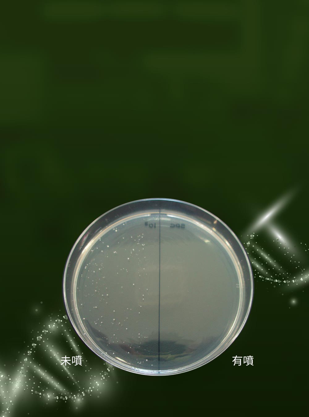 mamaway抗菌防蟎洗衣精