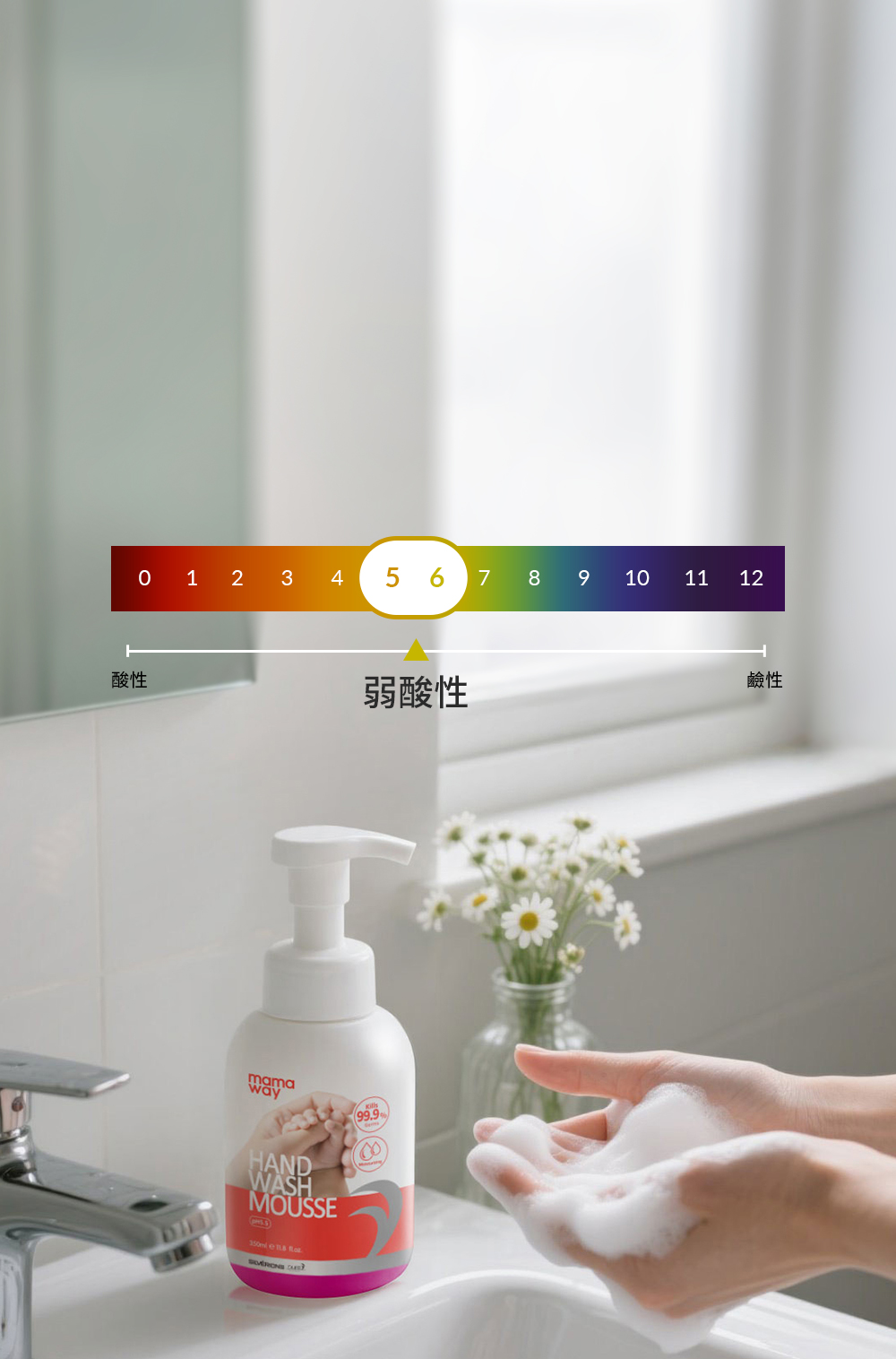 mamaway蘆薈抗菌洗手慕斯