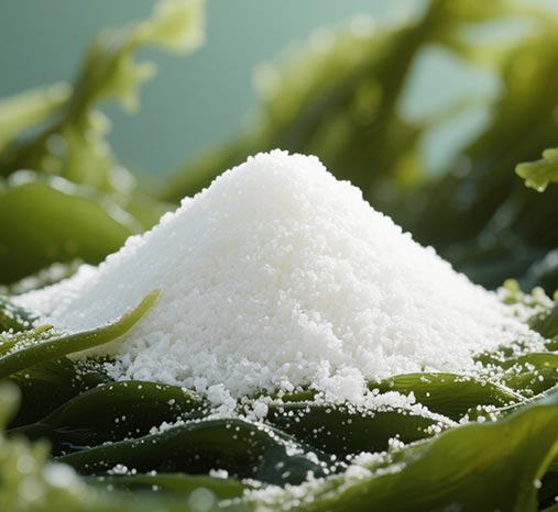 海藻糖專利成份