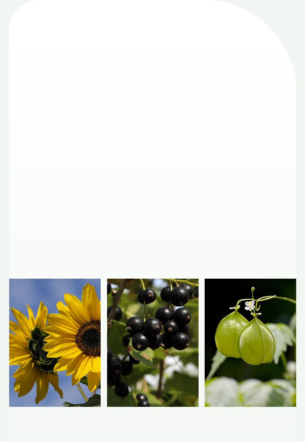 mamaway嬰兒舒緩保濕乳液