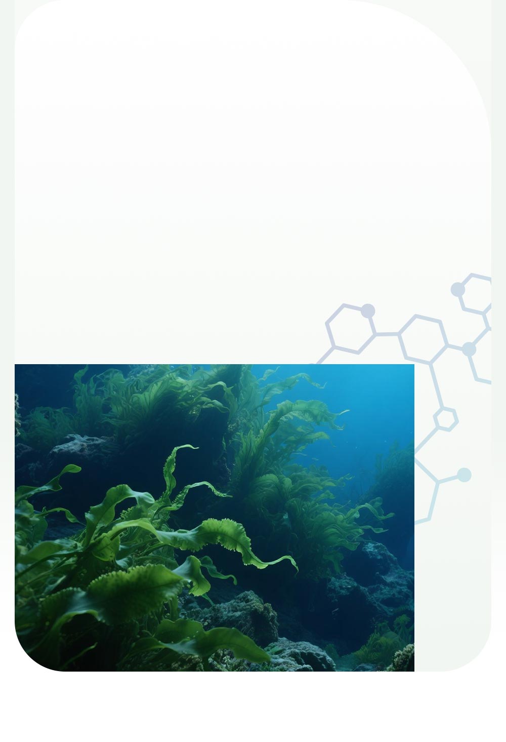 mamaway嬰兒洗髮沐浴露