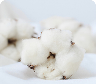 mamaway乾濕兩用巾