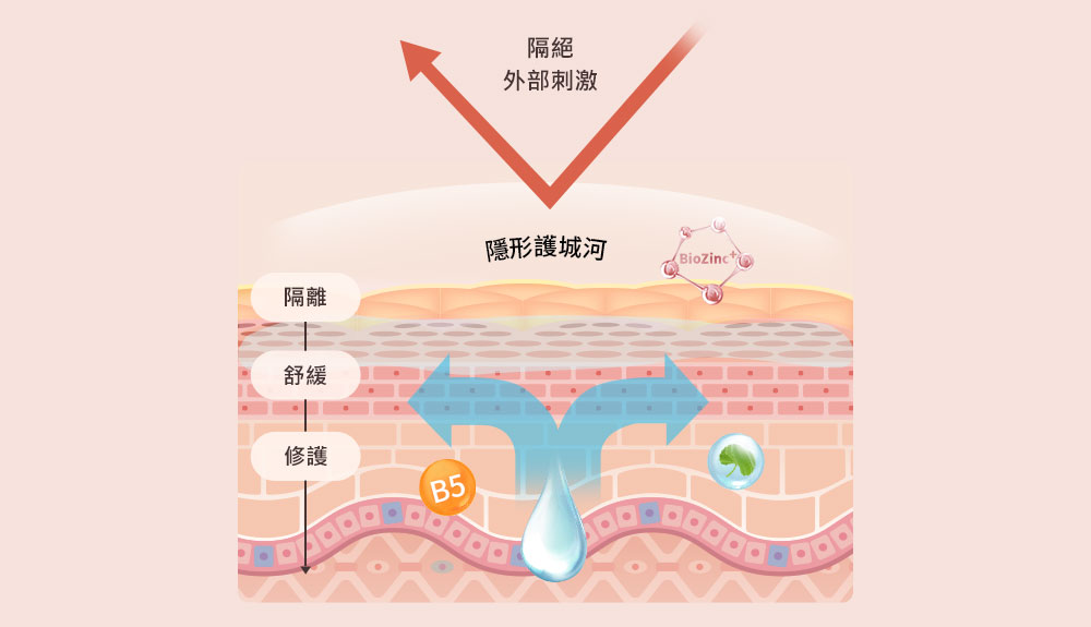 隔離、舒緩、修護肌膚示意圖