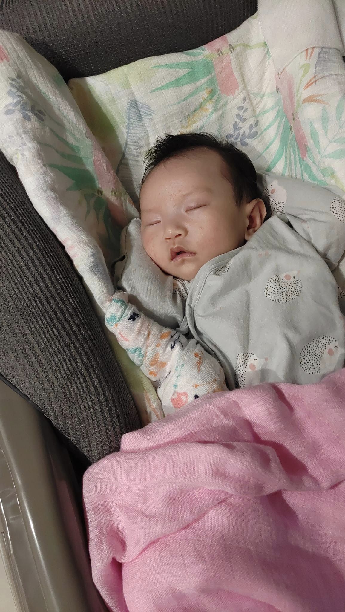 睡得香香 睡得香香