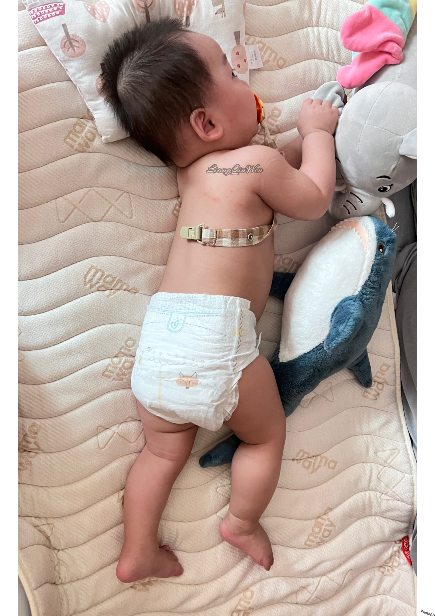 生態科技等級泡棉行動床墊 生態科技等級泡棉行動床墊