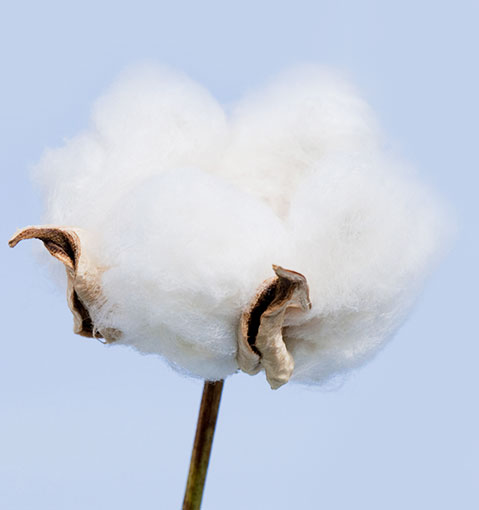 超薄瞬吸鎖水防溢乳墊(100入)