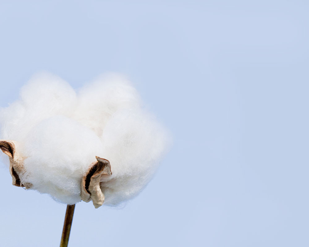 零著感無痕哺乳內衣