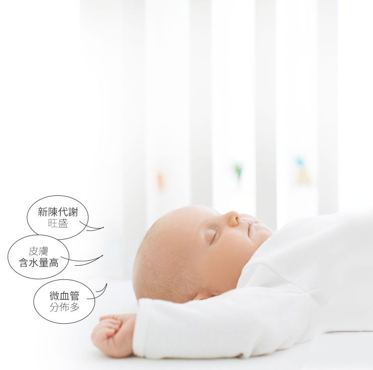 睡袋組-安撫涼被(調溫/抗菌)-叢林恐龍