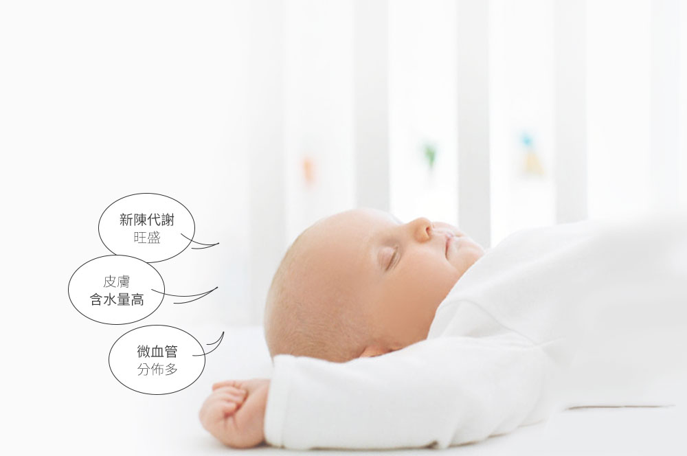 睡袋組-安撫涼被(調溫/抗菌)-叢林恐龍