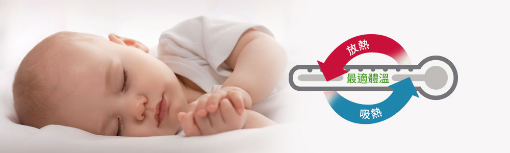 睡袋組-安撫涼被(調溫/抗菌)-叢林恐龍