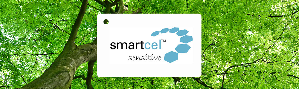 睡袋組-安撫涼被(調溫/抗菌)-叢林恐龍