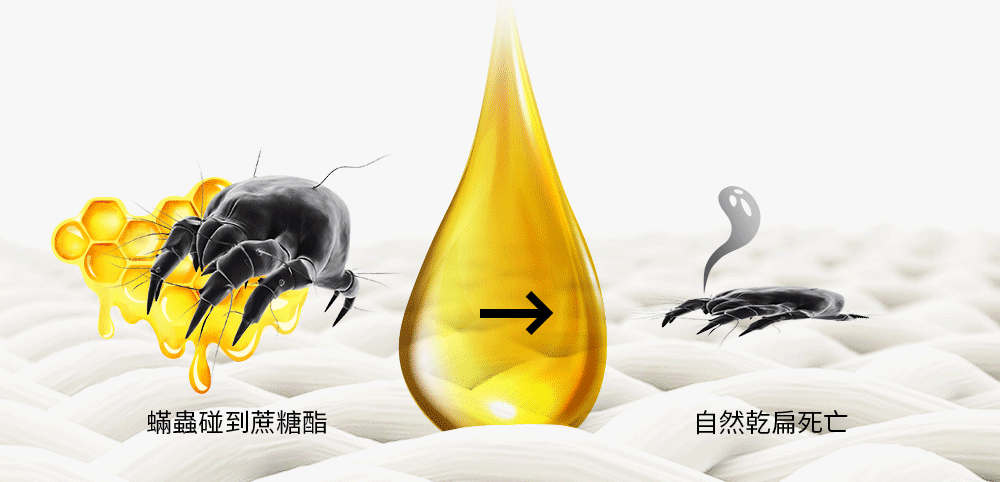 抗菌防蟎洗衣精 抗菌防蟎洗衣精