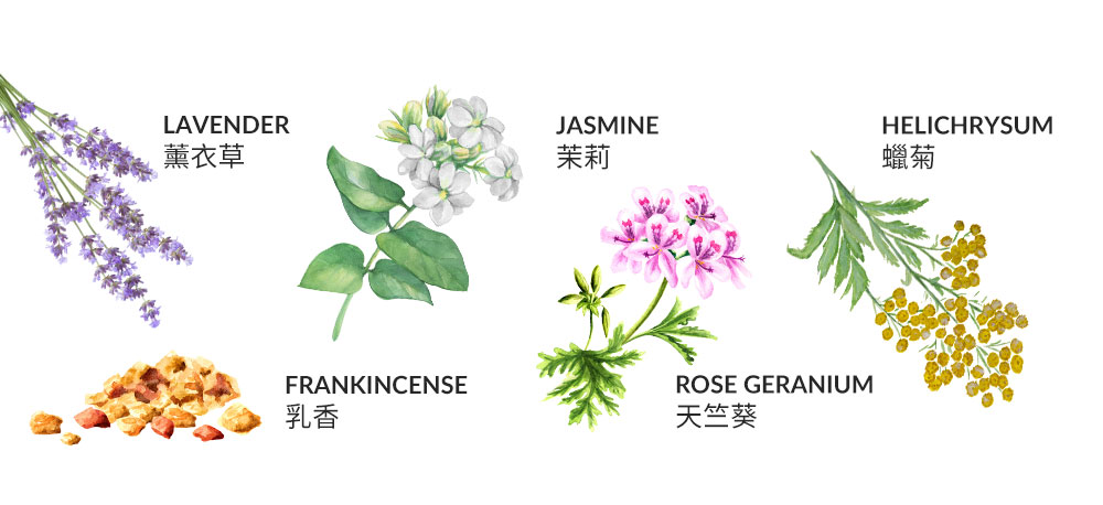 Mamaway彈力妊娠油