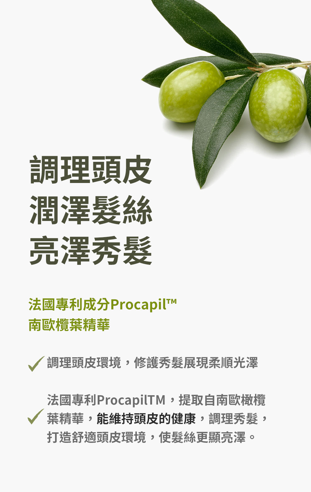 如你所願洗髮精