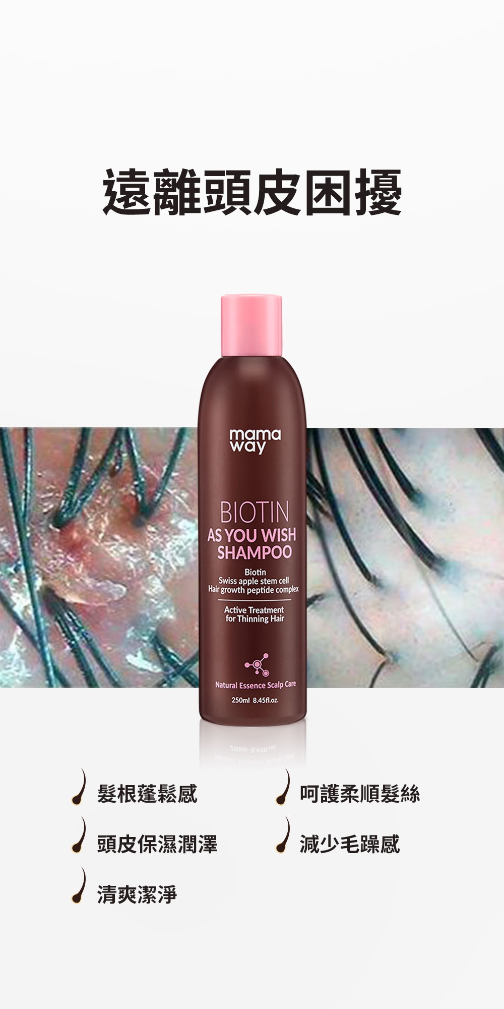 如你所願洗髮精